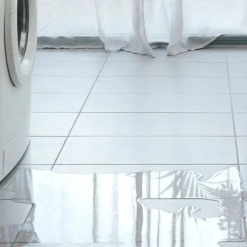 Appliance Leak Cleanup in Ketchikan, AK