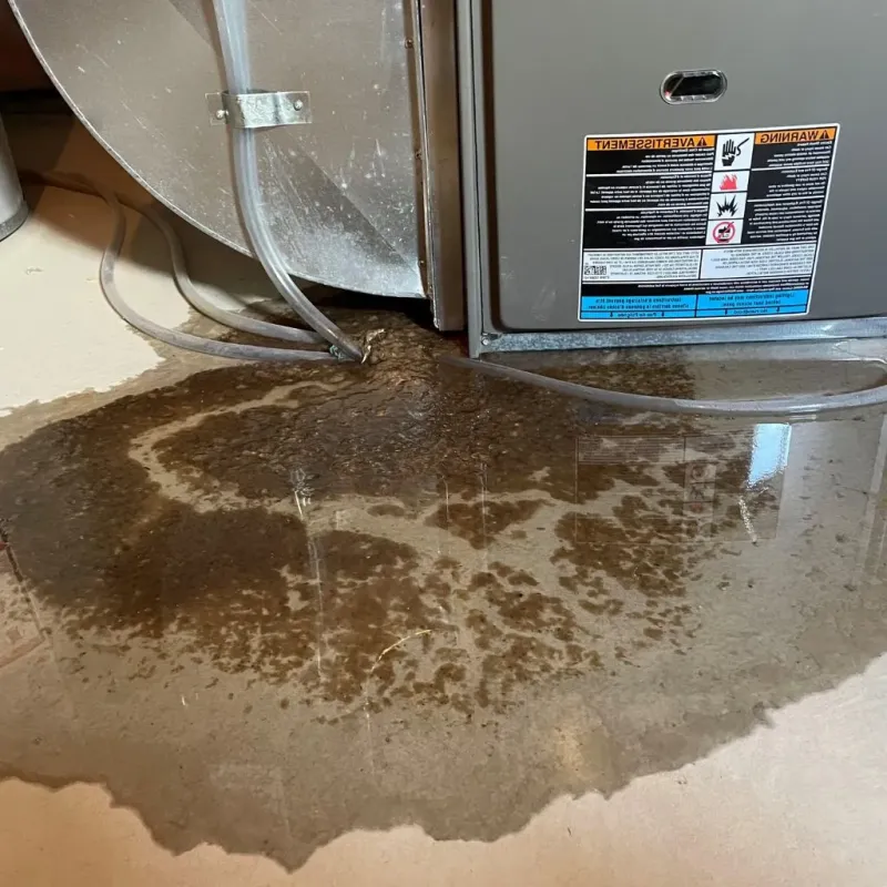 Pipe Burst and Leak Restoration in Ketchikan, AK